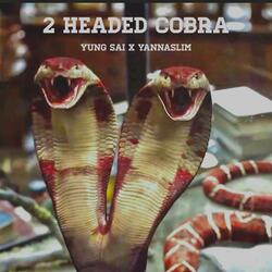 2 Headed Cobra