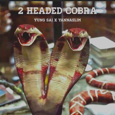 2 Headed Cobra