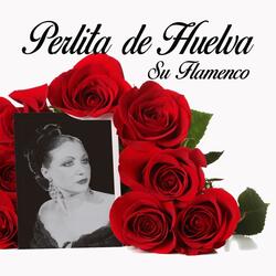 A Mi Novio No Le Gusta 'la Minifalda'