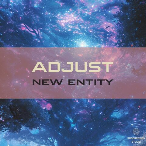 Adjust