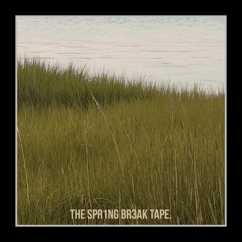 THE SPR1NG BR3AK TAPE