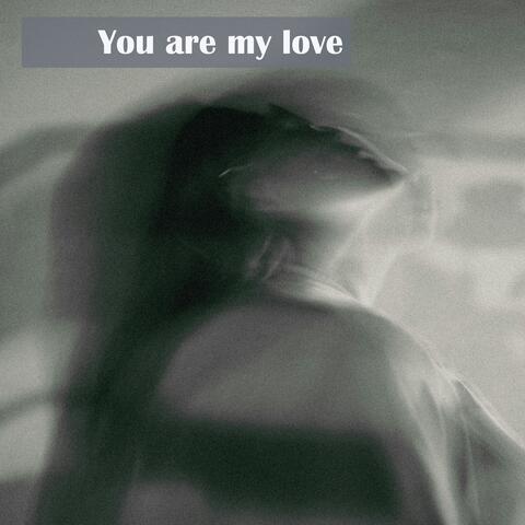 You are my love