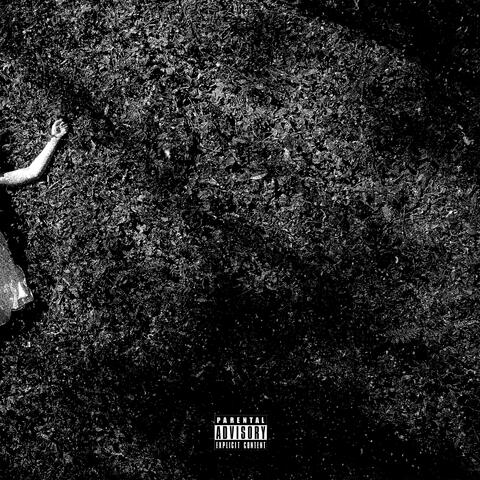 Government Assistance(unmastered)