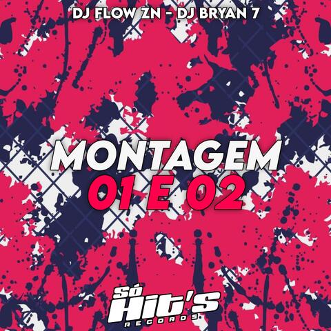 Montagem 01 e 02