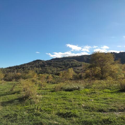 Relax