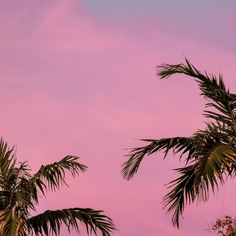 Hot Breeze