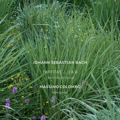 Bach: Partitas No. 2, 3 & 6 (Una Corda)