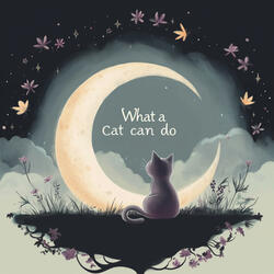 What a Cat can do