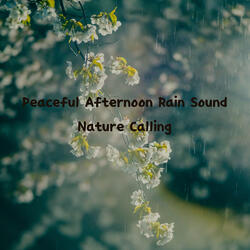 Rain Sound For Peaceful Mind ASMR