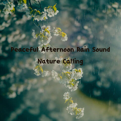 Peaceful Afternoon Rain Sound