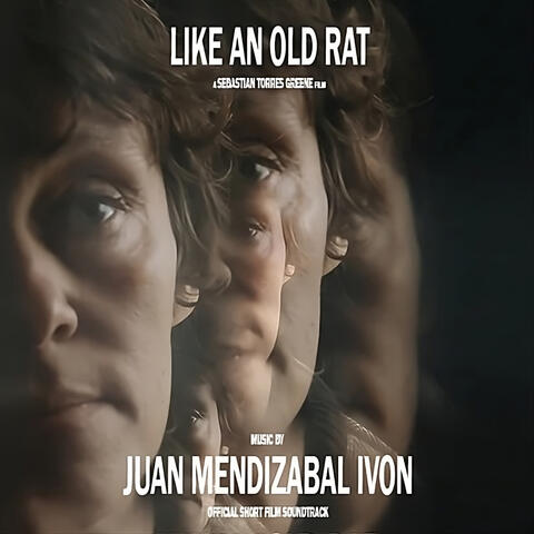 Like An Old Rat