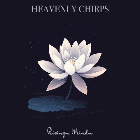 heavenly chirps