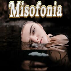 Misofonia