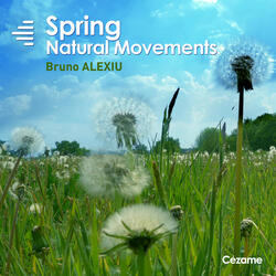 Last Ripples of the Ocean