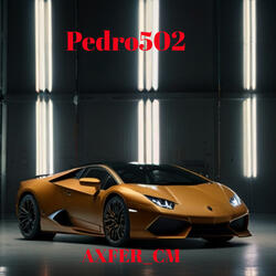 Pedro502