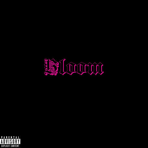 Bloom