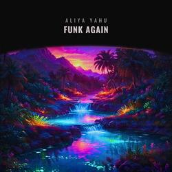 Funk Again