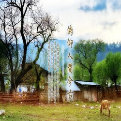 水風吹落眼前花 (加長版)