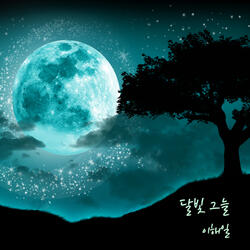 달빛 그늘 Shade of moonlight