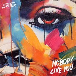 Nobody Like You