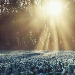 Twilight Frost and Ember Glow