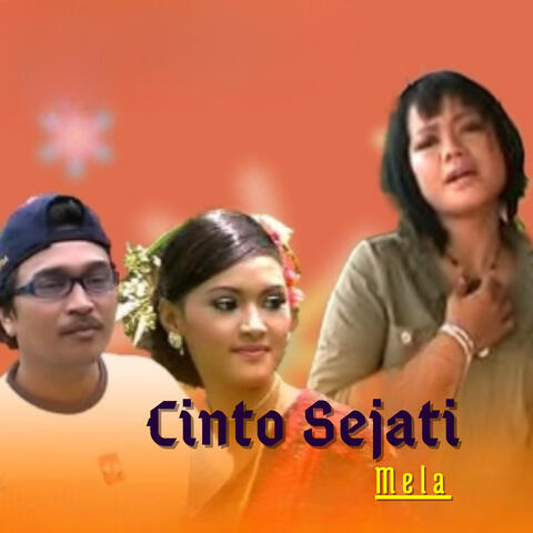 Cinto Sejati