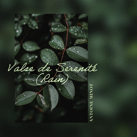 Valse de Serenité (Rain)