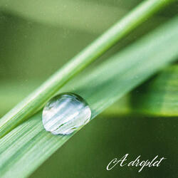 A droplet
