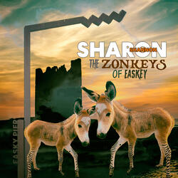 The Zonkeys Of Easkey