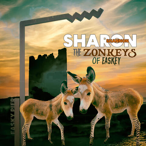 The Zonkeys of Easkey