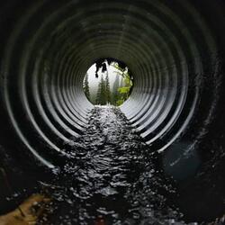 Sewer