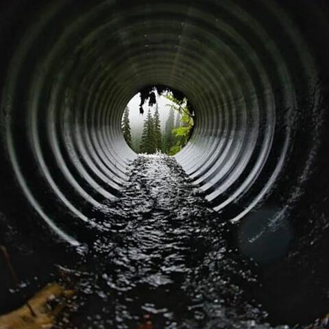Sewer