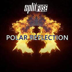 Polar Reflection