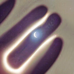 Darkside Pulse