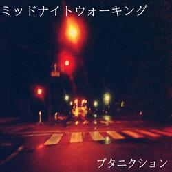 Midnight Walking