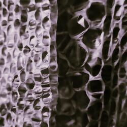 Morn (Riffing out the Pox)