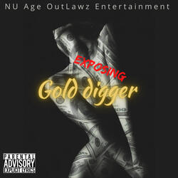 Exposing  Golddigger