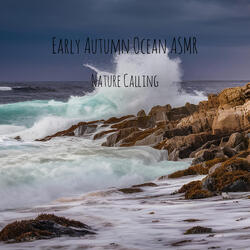 Early Autumn Ocean ASMR