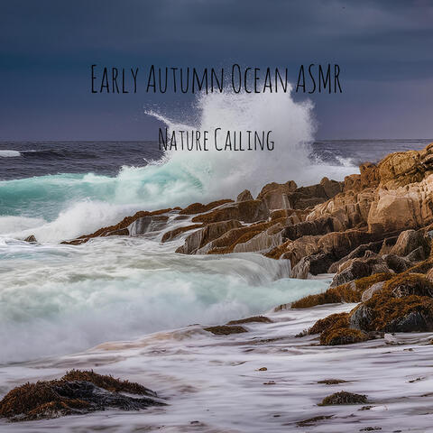 Early Autumn Ocean ASMR