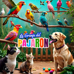 El Juego de la Chinchilla y el Asno