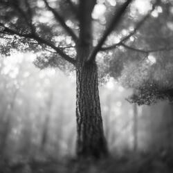 Sacred Structure (Pt. 1)