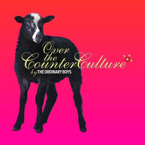Over The Counter Culture