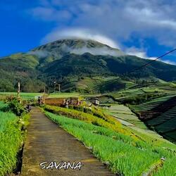 Dimana Kamu