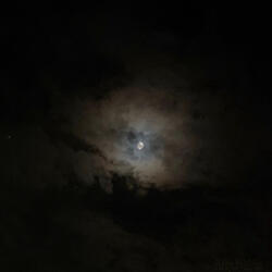 All Black Switchin Lanes