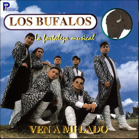 Los Bufalos