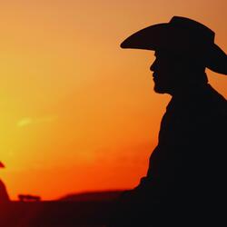 Here I Have Everything I Need