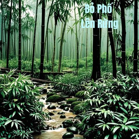 Bỏ Phố Lên Rừng