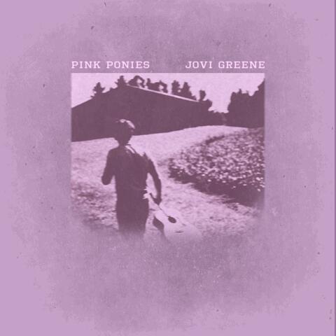 Pink Ponies