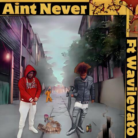 Aint Never