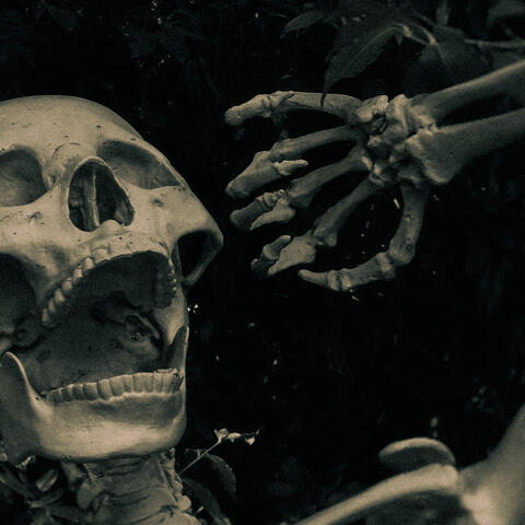 0 Hour Zombie: Dread Of The Undead